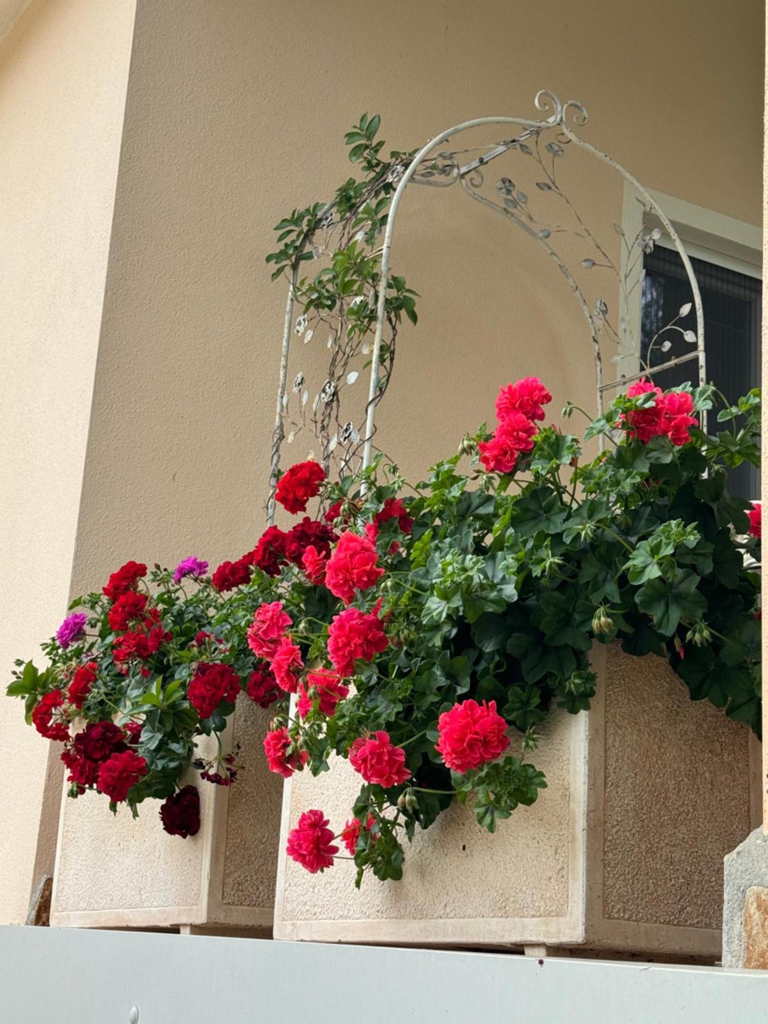 Villa Dei Fiori - Casa Vacanza カポテッラ エクステリア 写真
