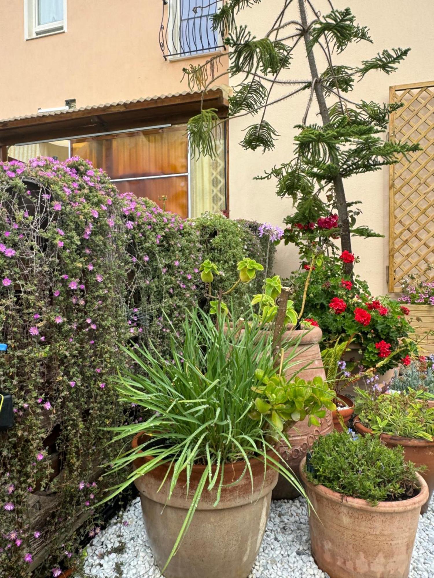 Villa Dei Fiori - Casa Vacanza カポテッラ エクステリア 写真